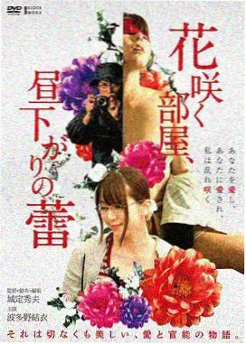 盗梦空间 菠萝电影网
